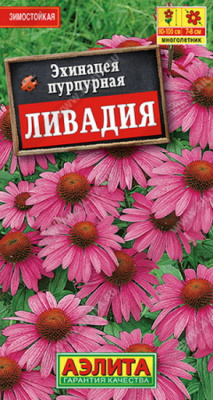 Эхинацея пурпурная Ливадия