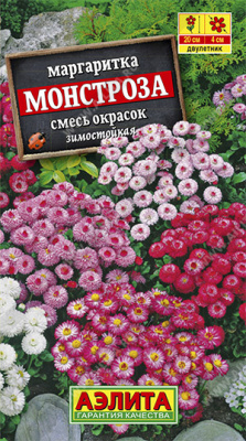 Маргаритка Монстроза, смесь окрасок