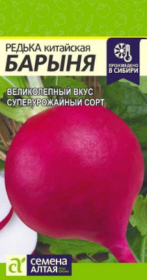 Редька Барыня Зимняя Красная