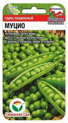 Горох Муцио