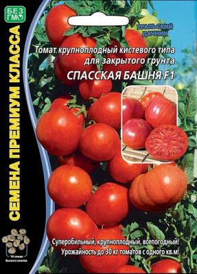 Спасская башня