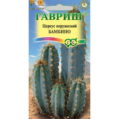 Кактус Неокарденасия Герцога Бамбино