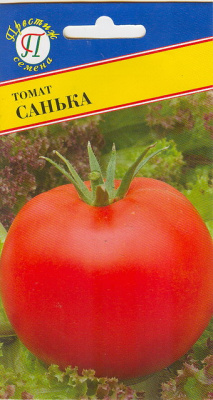 Томат Санька