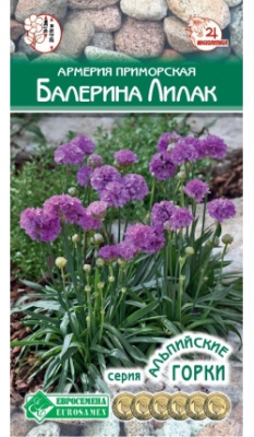 Армерия Балерина Лилак