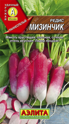 Редис Мизинчик