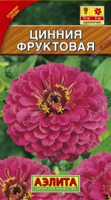 Цинния Фруктовая
