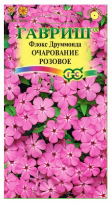Флокс друммонда Очарование розовое