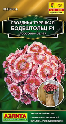 Гвоздика турецкая Бодештольц лососёво-белая