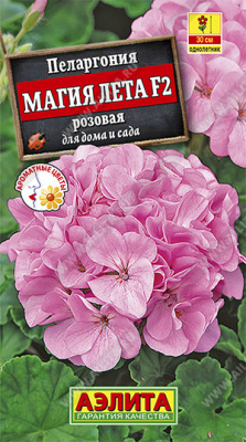 Пеларгония Магия лета розовая