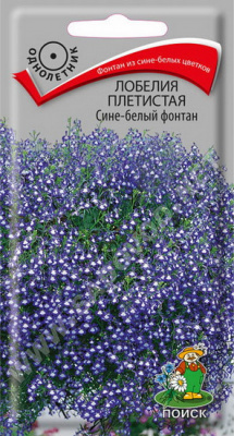 Лобелия Сине белый фонтан плетистая