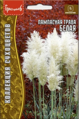 Кортадерия (Пампасная трава) белая