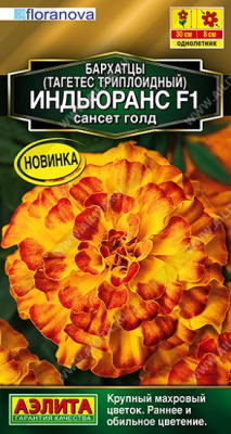 Бархатцы Индьюранс сансет голд