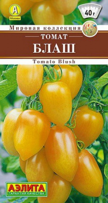 Томат Блаш