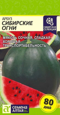 Арбуз Сибирские огни