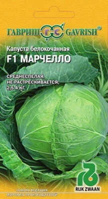 Капуста белокочанная МАРЧЕЛЛО (Гавриш)