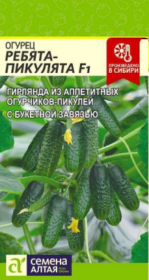 Огурец Ребята-Пикулята