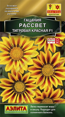 Гацания Рассвет