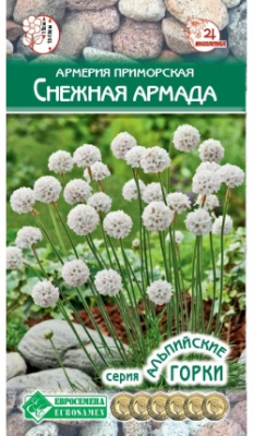 Армерия Снежная Армада