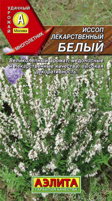 Иссоп Лекарственный белый