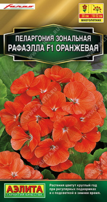 Пеларгония Рафаэлла F1, оранжевая