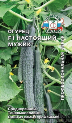 Огурец Настоящий мужик (Седек)