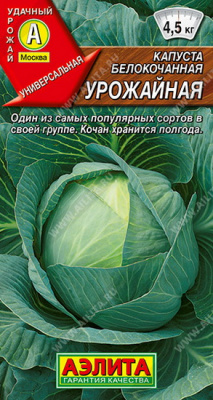 Капуста белокочанная Уржайная