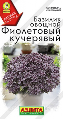 Базилик Фиолетовый кучерявый