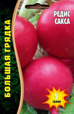 Редис Сакса