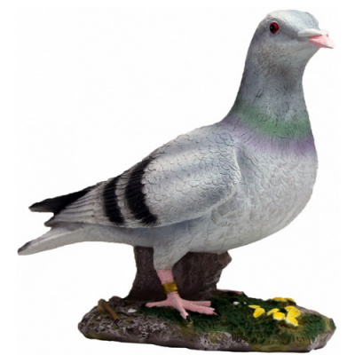 12675