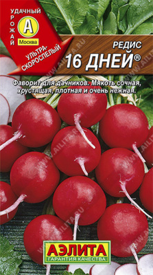 Редис 16 Дней
