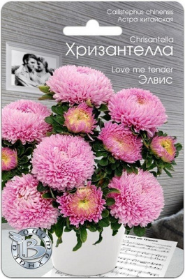 Хризантелла Элвис