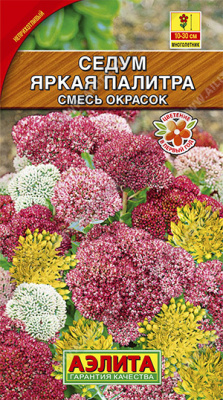 Седум Яркая палитра, смесь окрасок