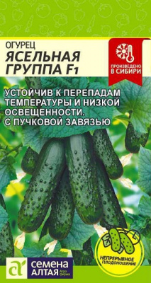 Огурец Ясельная Группа