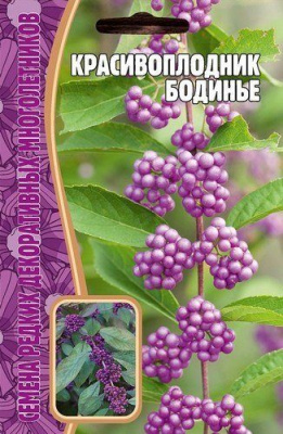Красивоплодник Бодинье 7шт