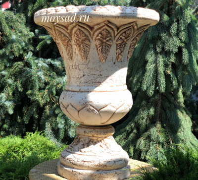 Александрия _1