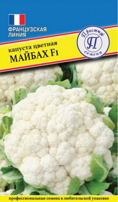 Капуста Майбах