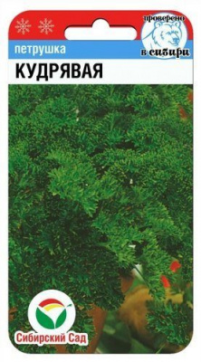 Петрушка КУДРЯВАЯ