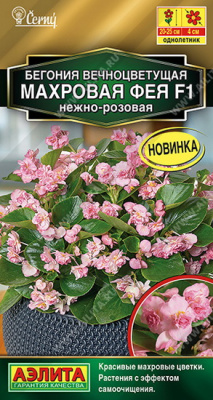 Бегония вечноцветущая Фея махровая нежно-розовая