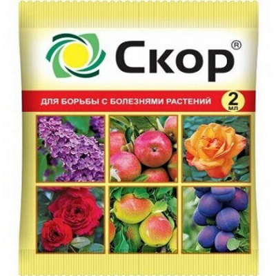 Скор