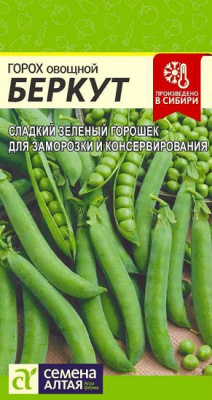 Горох Беркут
