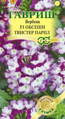 Вербена Обсешн Твистер парпл