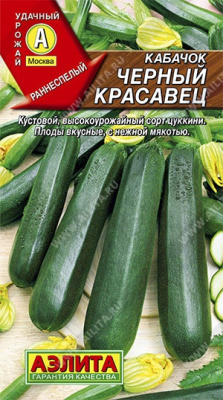 Кабачок Черный красавец