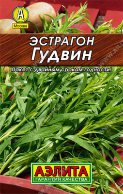 Гудвин