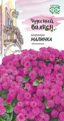 Агератум Малинка
