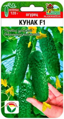 Огурец Кунак