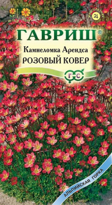 Камнеломка Розовый ковер