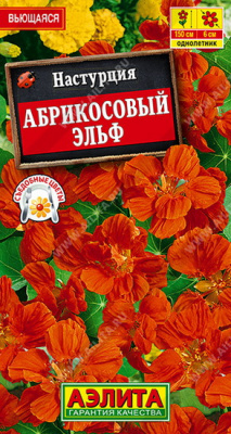 Настурция Абрикосовый эльф
