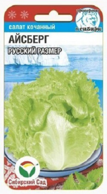 Салат Айсберг Русский Размер