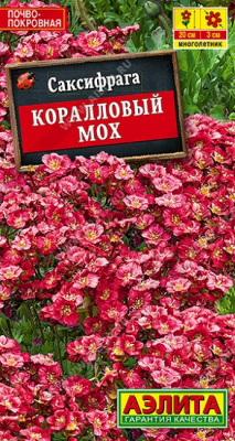 Саксифрага Коралловый мох