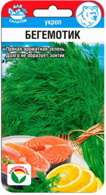 укроп бегемотик нов